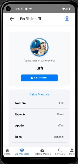 Servicios veterinarios